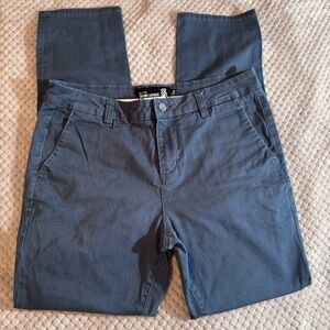 RSQ Seattle Skinny Tapered Pants in Slate Blue